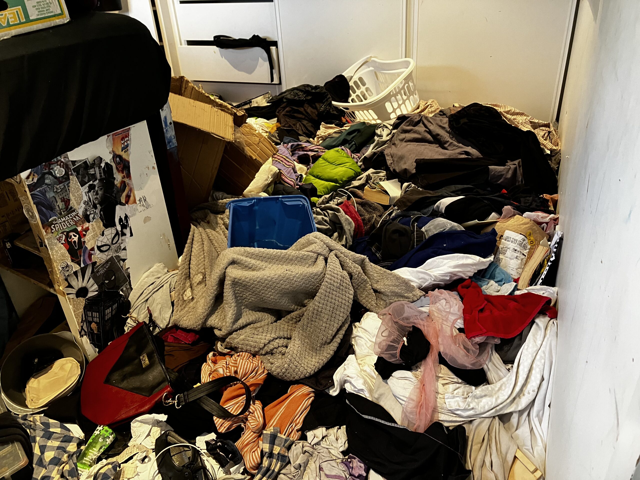 Professional home organising advice