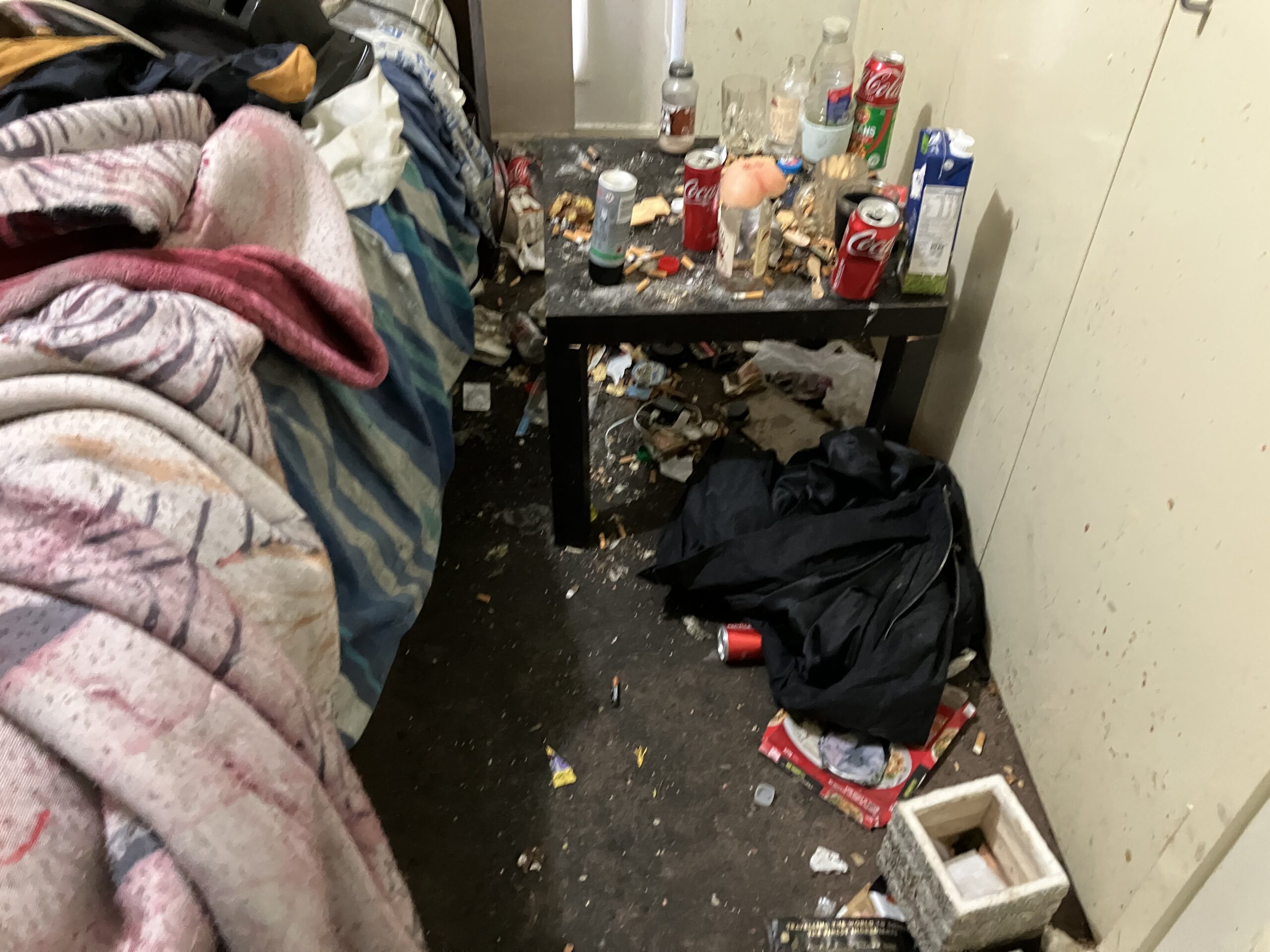 Mould, dust, or pests from unclean areas