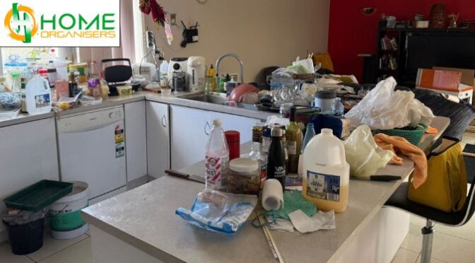 The Cost of Doing Nothing: Risks of Ignoring Hoarding in Ndis Households