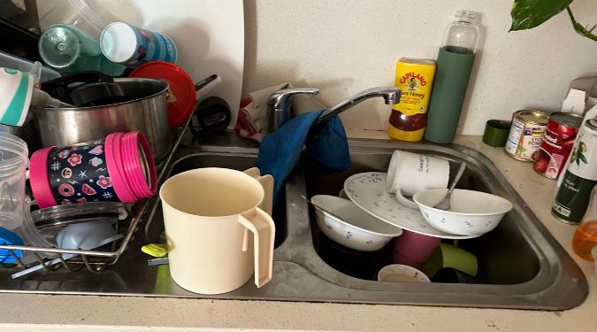 organised home mental health